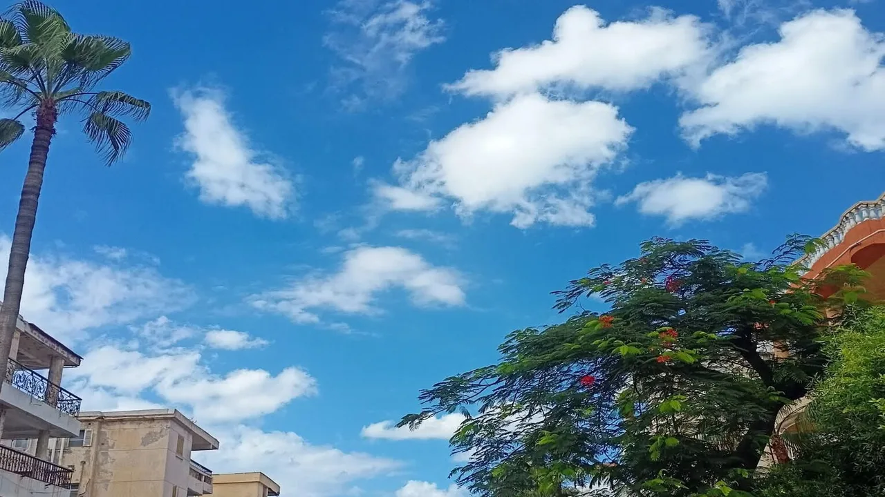 توقعات حالة الطقس اليوم السبت مع استمرار موجة برد تضرب البلاد